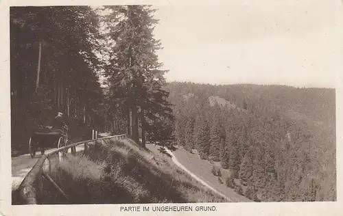 Partie im Ungeheuren Grund nahe Friedrichroda, Thür.Wald, ngl E5483