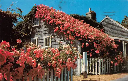 Siasconset MA Rose Covered Cottage along the quaint streetss gl19? 164.054