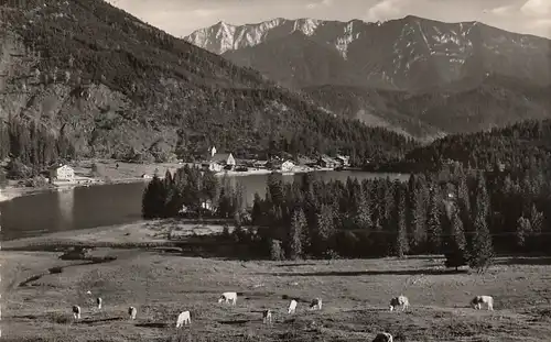 Spitzingsee gegen Sonnwendjoch gl1956? E2676