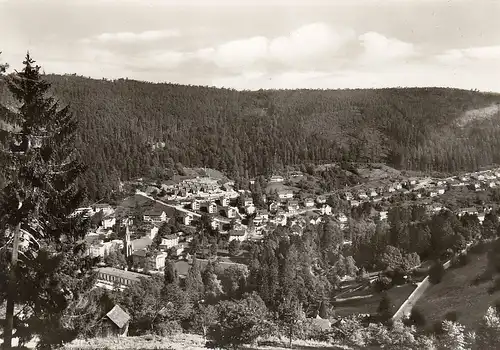 Wildbad im Schwarzwald, Hohenacker ngl E3547