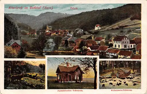 Altenbrak im Bodetal (Harz) Totale gl1918 165.082
