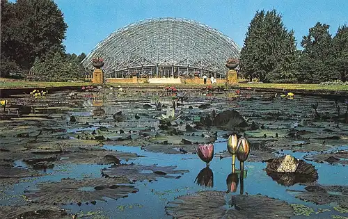 St. Louis MO Climatron Botanical Show Garden ngl 164.055