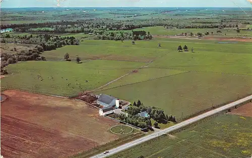 Merril WI Riverview Farm from the air gl1968 165.217