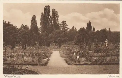 Sangerhausen, Rosarium ngl E4288