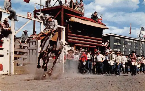 Canada Calgary Bronc Riding at the Stampede gl1968 164.214