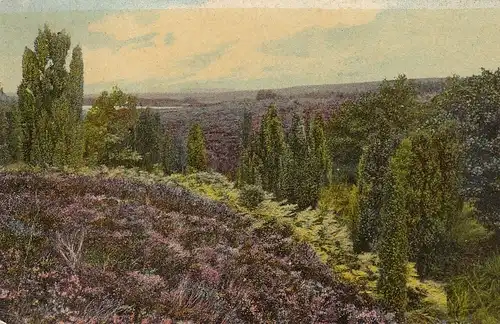 Lüneburger Heide, am Weselbach gl1908 E5671