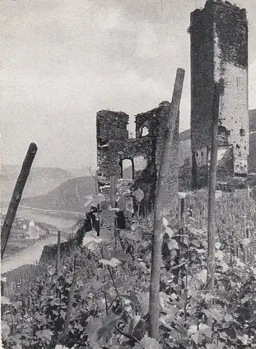 Burg Beilstein an der Mosel ngl E2983