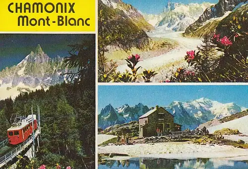 Chamonix-Mont-Blanc (Haute-Savoie), La Mer de Glace ngl E5794