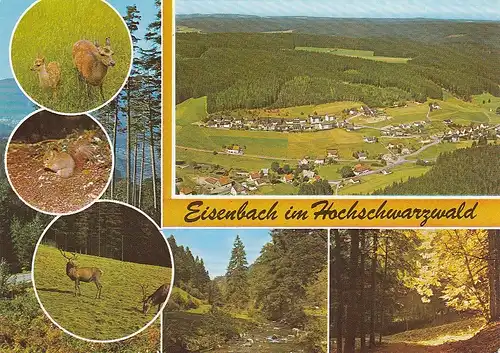 Eisenbach im Schwarzwald, Mehrbildkarte ngl E3042
