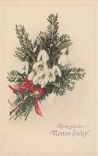 Neujahr-Grüße mit Schneeglöckchen ngl E5354R