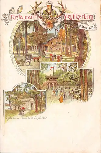 Dessau Litho Restaurant Sieglitzerberg Schlösschen a. dem Sieglitzer ngl 165.070