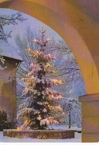 Weihnachten-u.Neujahr-Wünsche mit Weihnachtsbaum glum 1980? E3920