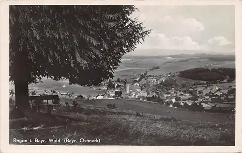 Regen (Bayer.Wald) Panorama gl1941 167.142