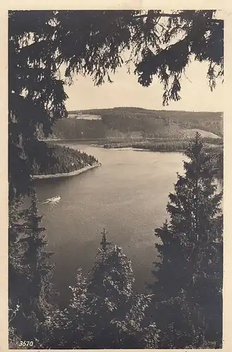 Am Stausee der Bleiloch-Saaletalsperre, am Luchsloch ngl E6123