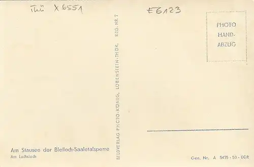 Am Stausee der Bleiloch-Saaletalsperre, am Luchsloch ngl E6123