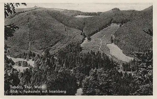 Tabarz, Thür.Wald, Blick vom Fuchsstein mit Inselsberg ngl E4676