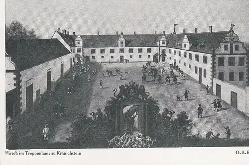 Darmstadt, Hirsch im Treppenhaus des Jagschloß Kranichstein ngl E4158