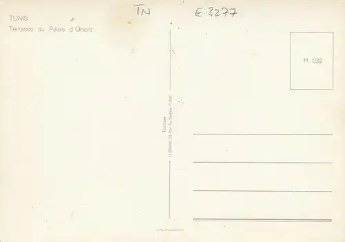 Tunesien, Tunis, Palais d'Orient, Terrasse ngl E3277