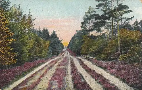 Lüneburger Heide, Wewg am Kleckerwald, Bendestorf-Itzenbüttel gl1912 E5432