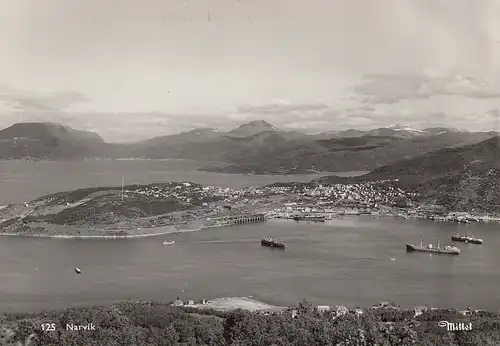 Narvik, Panorama ngl E4000