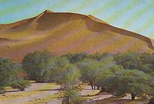 SWA Sickle dune on the Kuiseb River near Gobabeb1972? gl1972? E4061