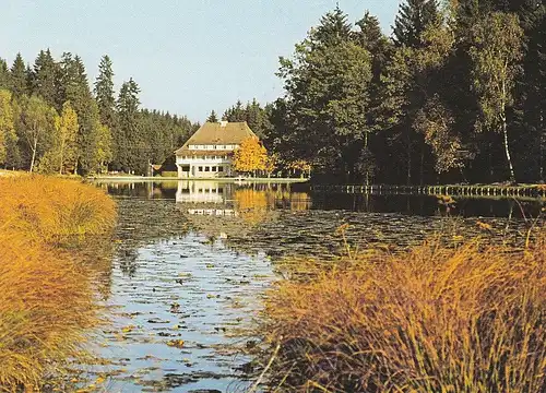 Lindenberg im Allgäu, Waldsee ngl E3422