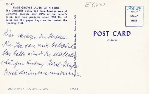 Date Groves laden with fruits, near Palm Springs, Calif. ngl E6481