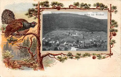 Höfen bei Wildbad Prägekarte mit Auerhahn gl1909 164.378