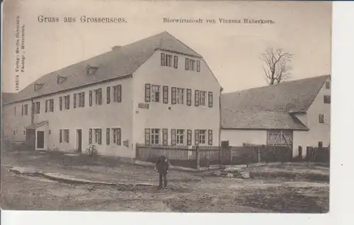 Grossensees - Bierwirtschaft von V.Haberkorn gl19? 228.160