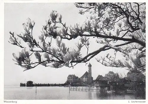 Wasserburg am Inn, Frühjahrsblüte ngl E5061