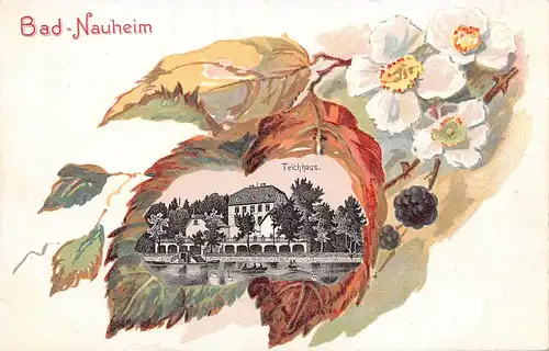 Bad Nauheim Litho Teichhaus mit Ruderbooten und Schwänen ngl 164.665