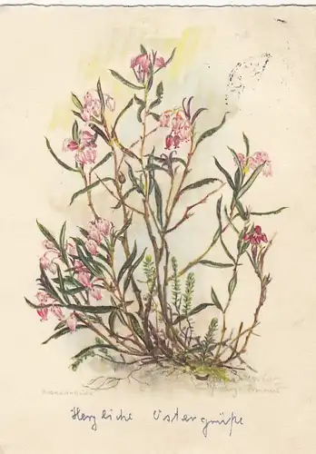 Ostern-Wünsche mit Blumenstock gl1957 E6684