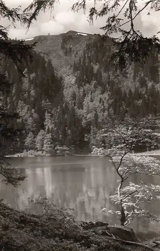 Feldsee im Schwarzwald, mit Feldberg gl1957 E6734