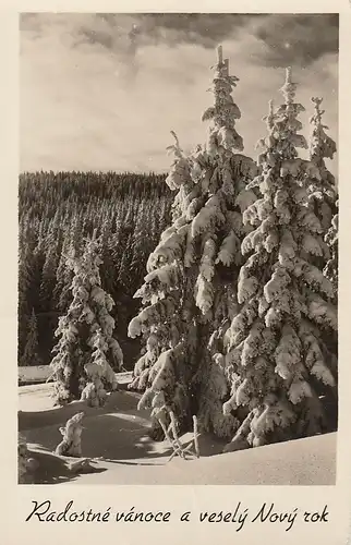 Radostné vánoce a vesely Nový rok gl1957 E5645