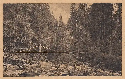 Höllental im Frankenwald, Der Teufelssteg ngl E5680