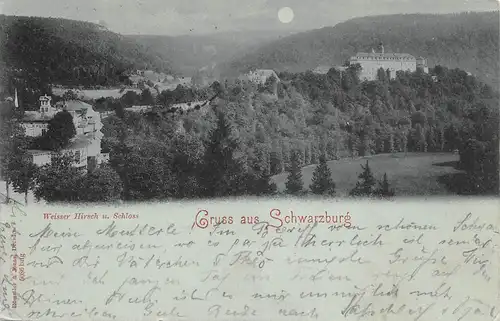 Schwarzburg Thür.Wald Weisser Hirsch und Schloss Mondscheinkarte gl1898 164.995