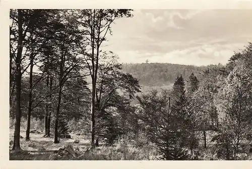 Auerberg/Harz, Blick zur Josephshöhe glum 1960? E4636