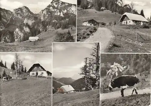 Bründlingalm, Ober-Kaser, am Hochfelln, Bergen ngl E7259