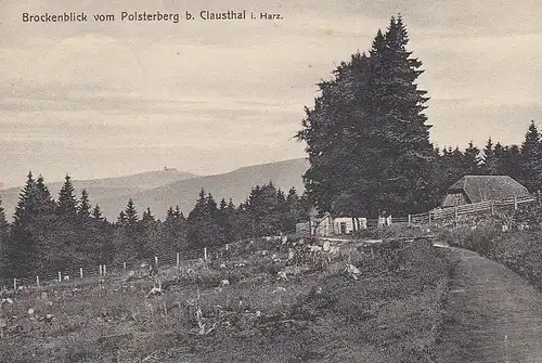 Brockenblick vom Polsterberg b.Clausthal i. Harz gl1913 E6049