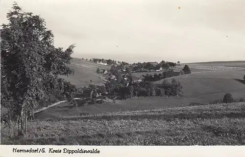 Hermsdorf bei Dippoldiswald, Panorama ngl E4691