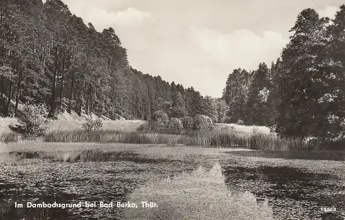 Im Dambachsgrund bei Bad Berka in Thüringen ngl E4730