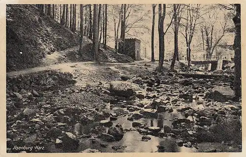 Ilsenburg, Harz, gl1952 E4525