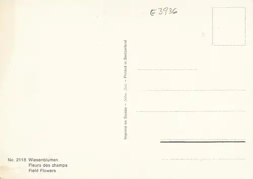 Wiesenblumen ngl E3936