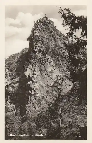 Ilsenburg, Harz, Ilsestein ngl E6188