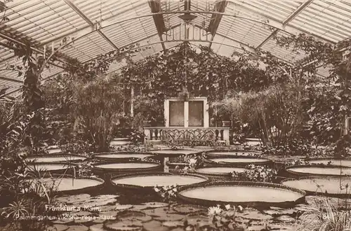 Frankfurt a. M., Palmengarten, Viktoria-regia-Haus ngl E7661