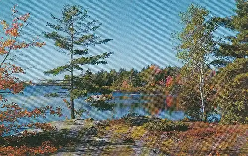 Greetings from the Hay Lake Lodge, Whitney, Ont. gl1958 E4072