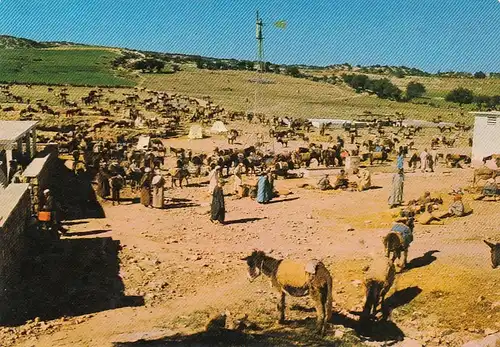 Marokko, Marche du dimanche Smi Mou ngl E6358