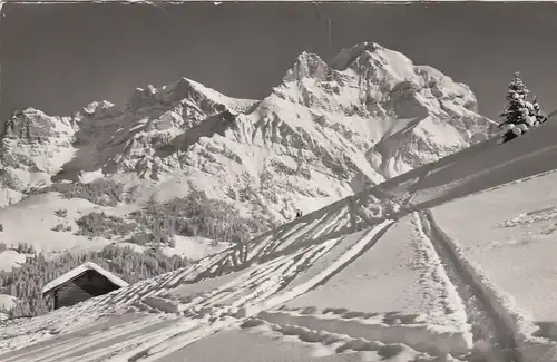 Adelboden, Skispuren am Kuonisbergli, Großlohner gl1968 E7790