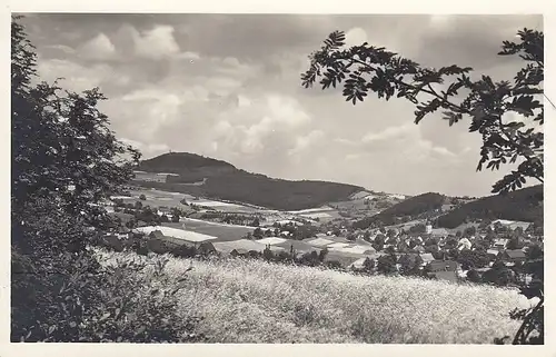 Geising / Erzgebirge, Panorama nglum 1930? E4717