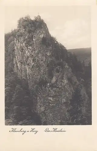 Ilsenburg, Harz, der Ilsestein ngl E4763